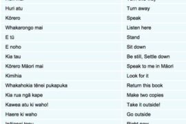 mÄori language phrases